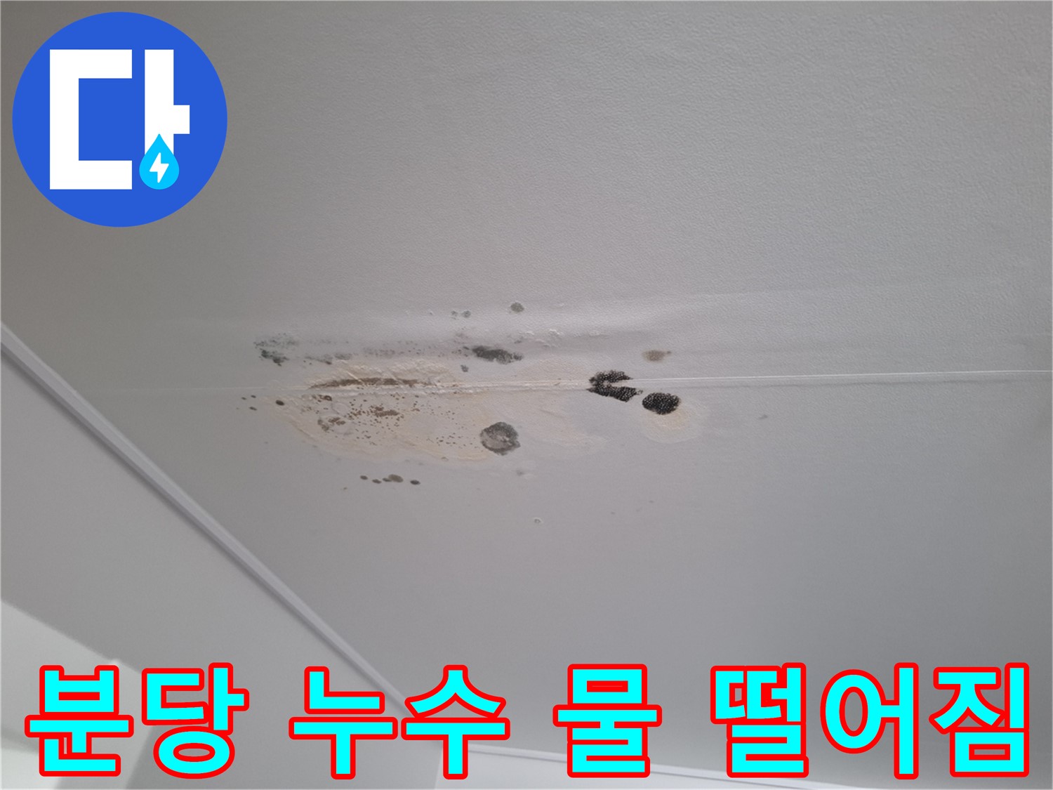 천장 누수 - 물 떨어짐 직전, 긴급 점검 필요!