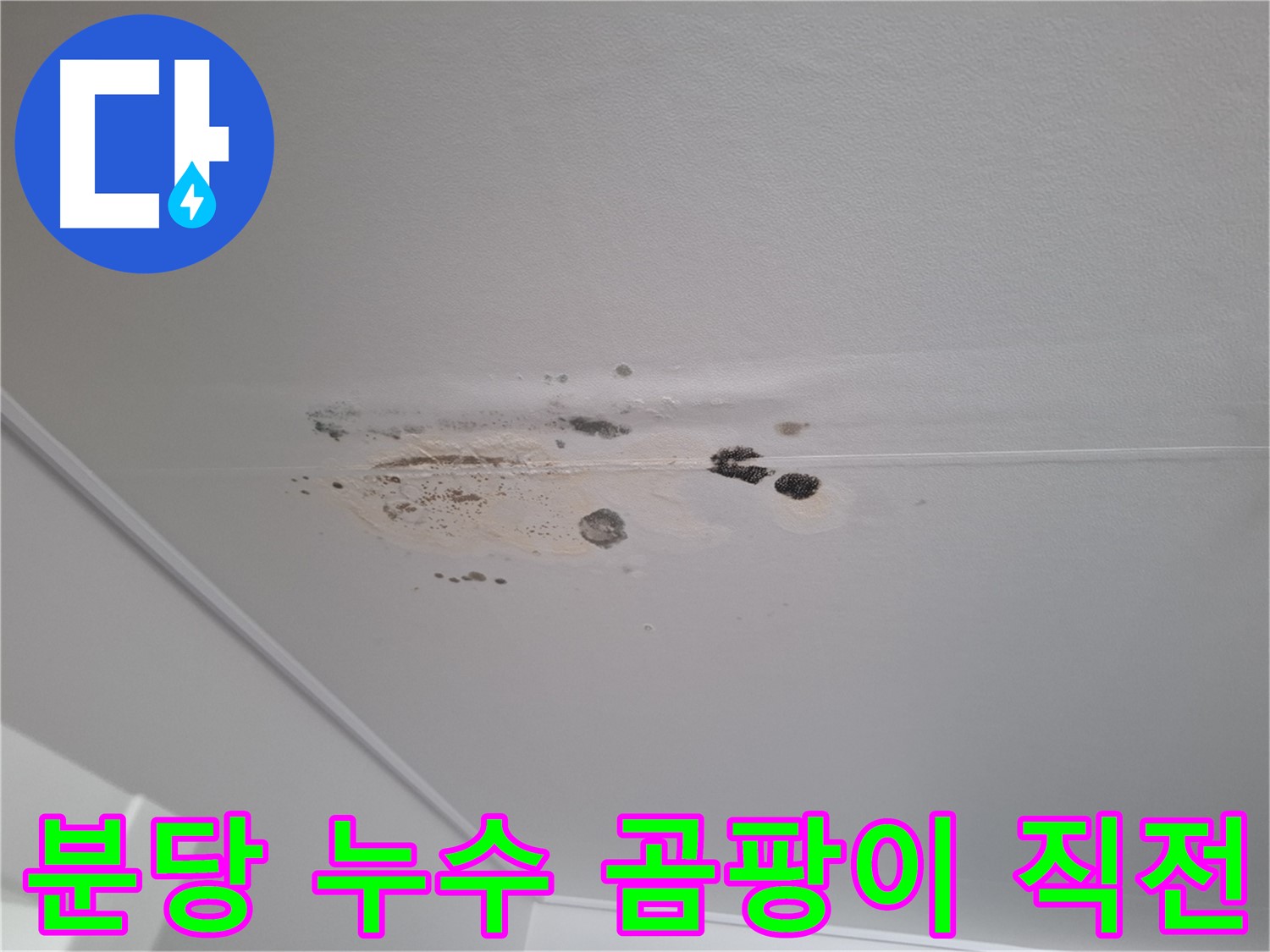 천장 누수 흔적 - 곰팡이 발생 직전, 초기 대응 중요