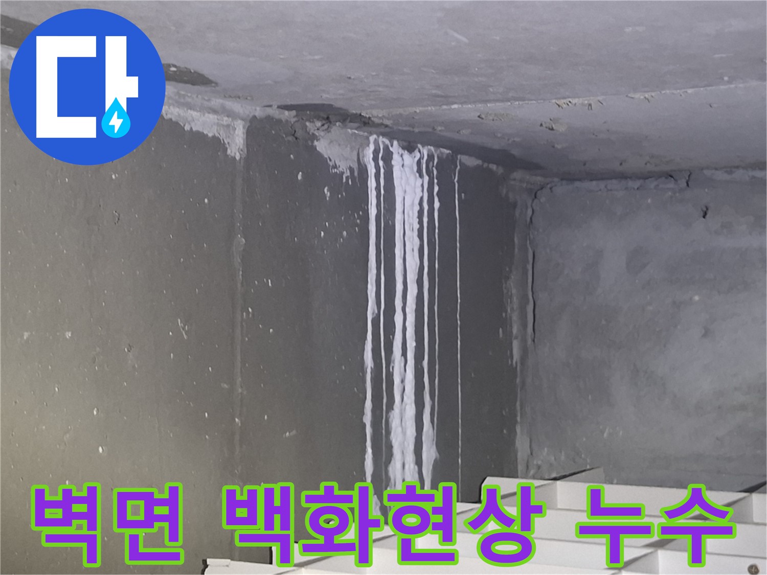 판교 삼평동 건물 계단 벽면 백화현상 - 누수 의심되는 상황