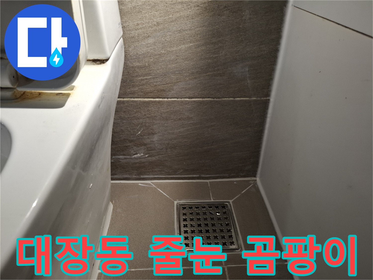 판교 대장동 변기 주변 줄눈 곰팡이 - 누수?