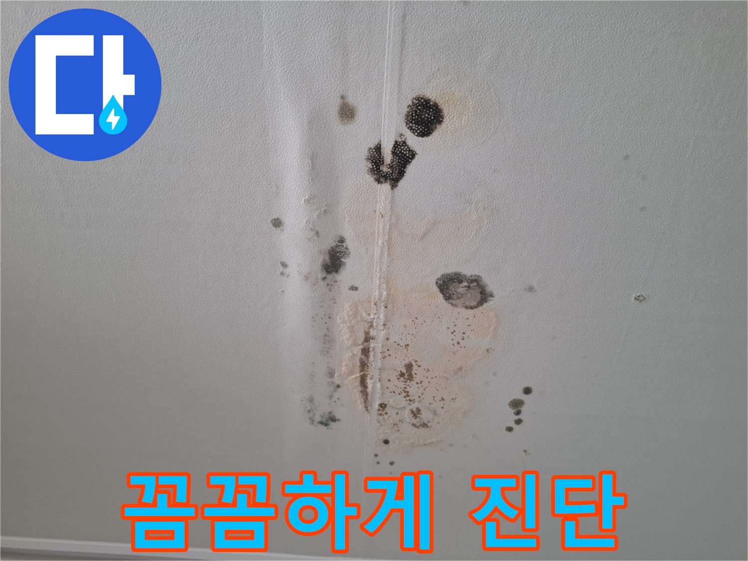 판교 봇들마을 아파트 누수 - 2단지 누수 문제, 꼼꼼하게 진단!