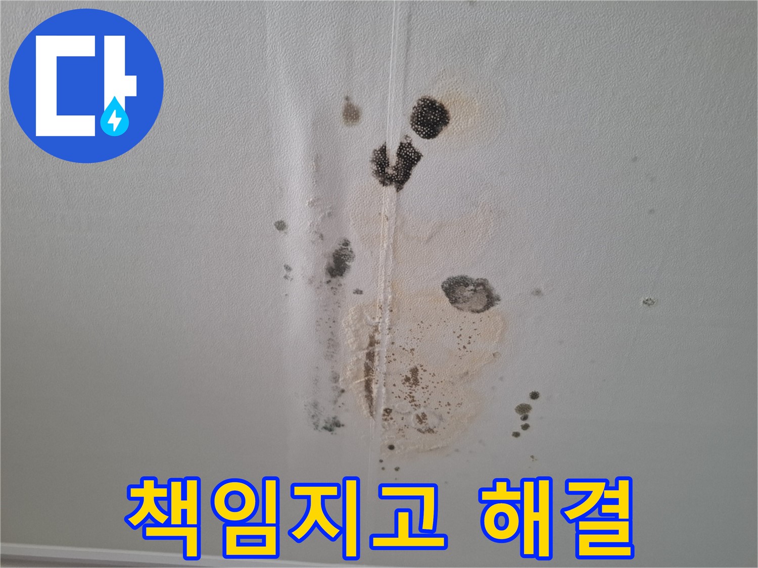 판교 봇들마을 아파트 누수 - 2단지 누수 문제, 확실하게 책임지고 해결!