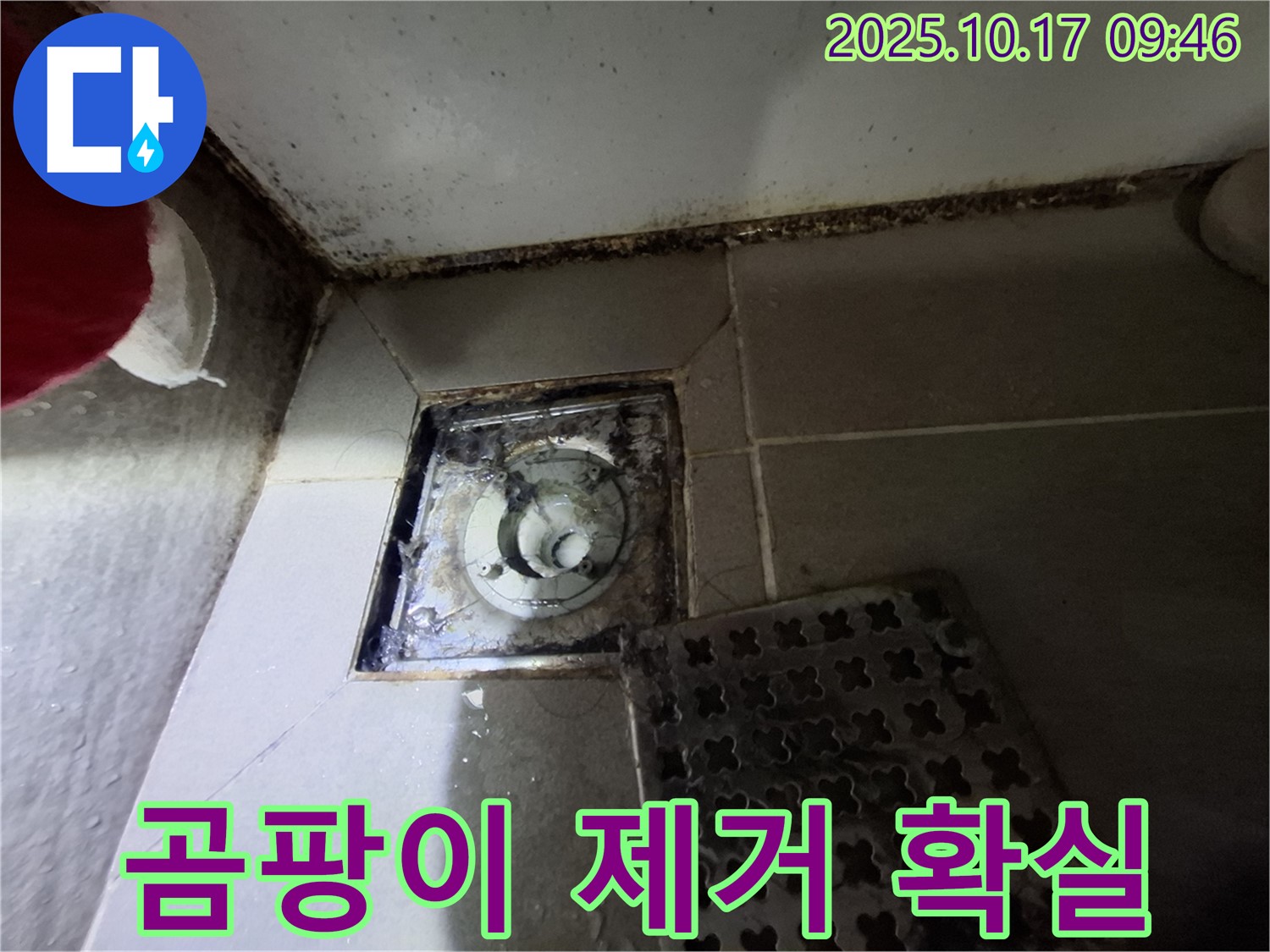 판교 봇들마을 아파트 - 욕실 배수구 곰팡이 제거 - 누수 완벽 차단 - A/S 보장 - 쾌적한 욕실 환경을 만들어 드립니다.
