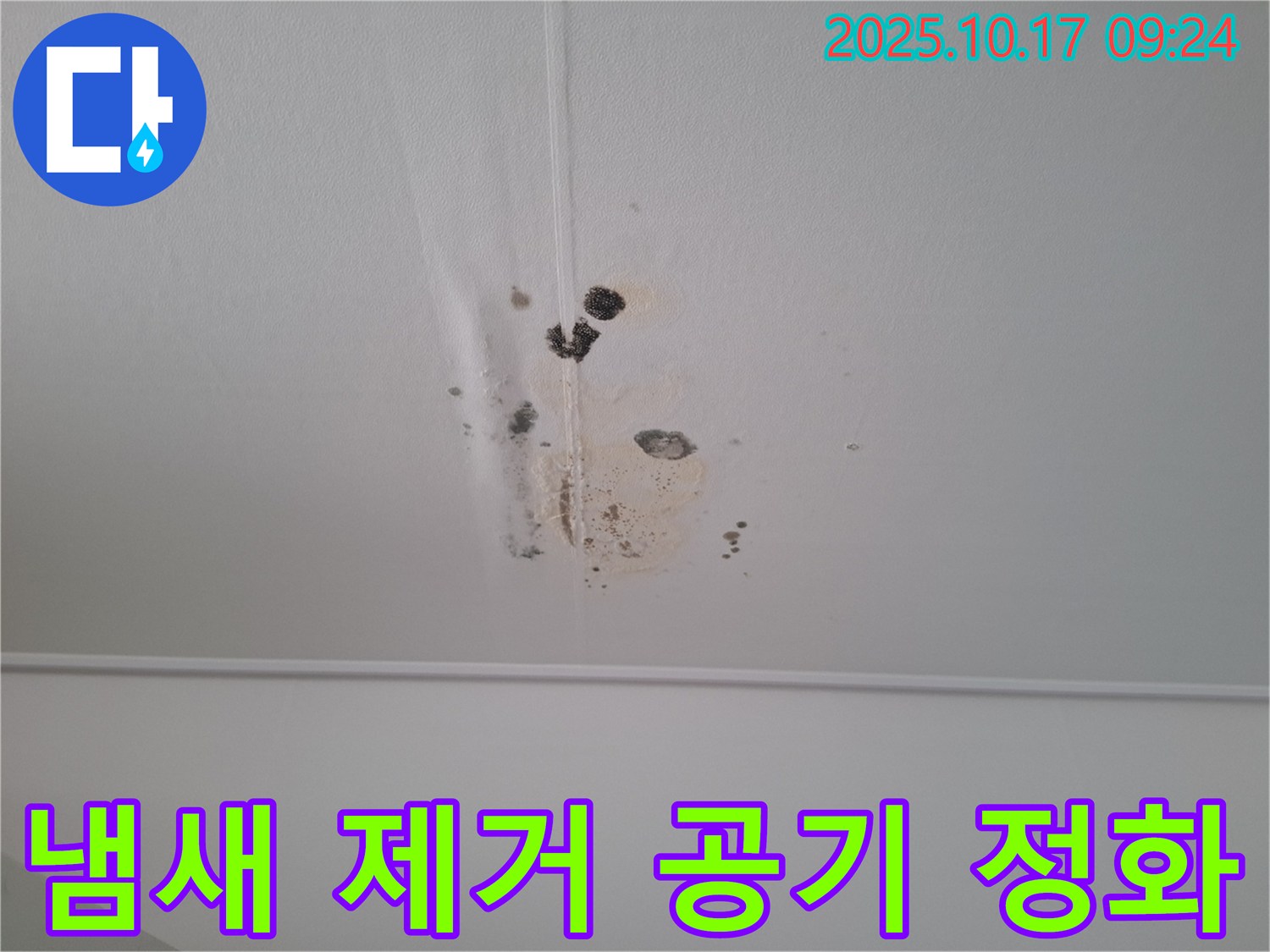 판교 봇들마을 아파트 천장 누수 - 곰팡이 제거 후 냄새 제거 및 공기 정화 시공