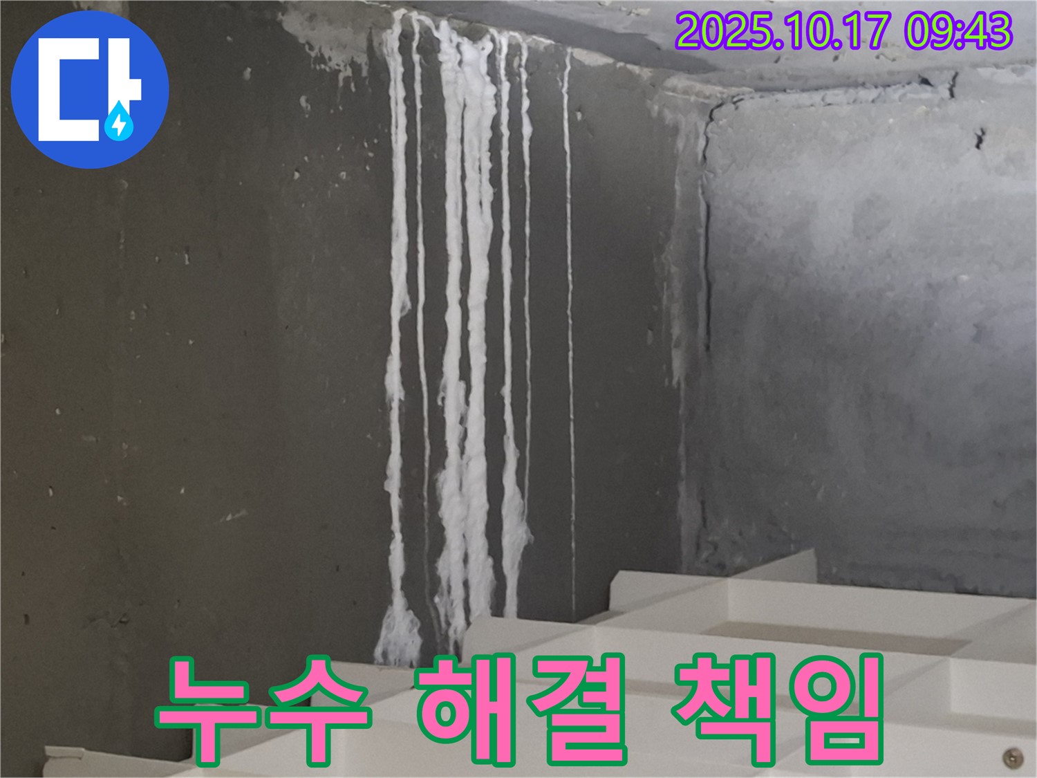 판교 봇들마을2단지 아파트 계단 석회수 누수 - 누수 해결 확실하게 책임