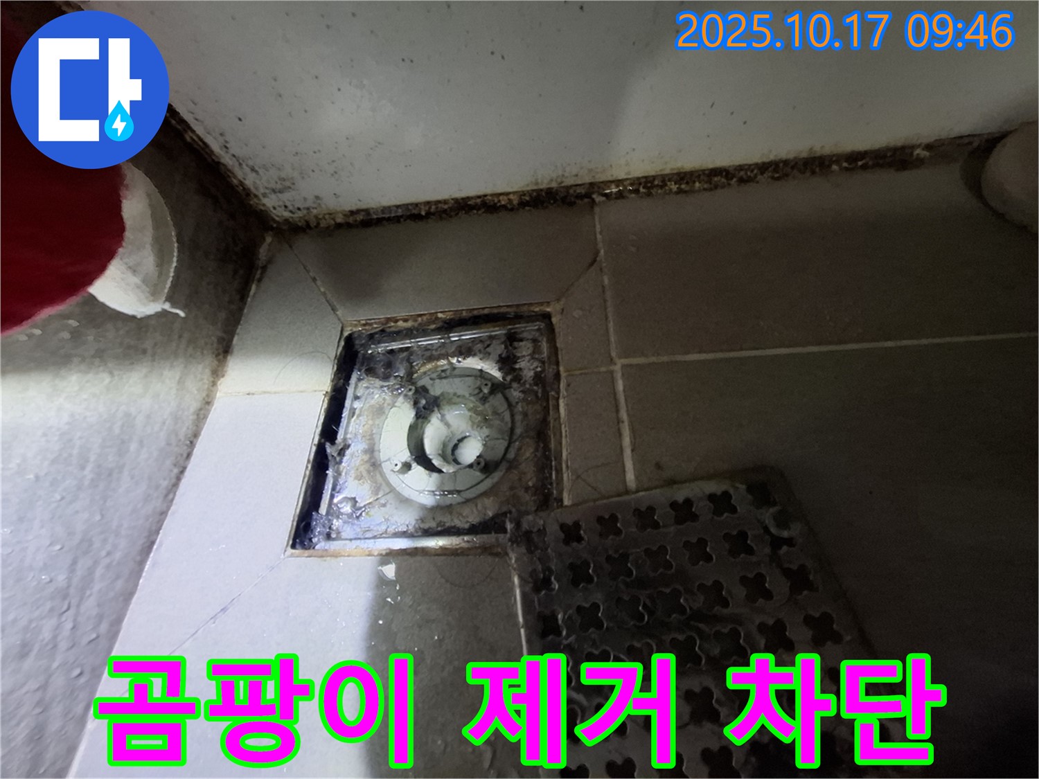 판교 봇들마을2단지 아파트 욕실 배수구 곰팡이 제거 - 누수 완벽 차단 시공 - 쾌적한 욕실 환경을 만들어 드립니다.