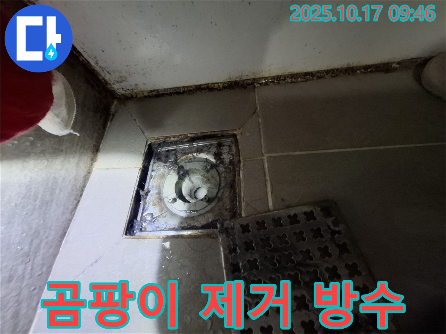 판교 삼평동 봇들마을 아파트 - 욕실 곰팡이 제거 후 완벽 방수 시공 - 쾌적하고 안전한 욕실 환경을 만들어 드립니다.
