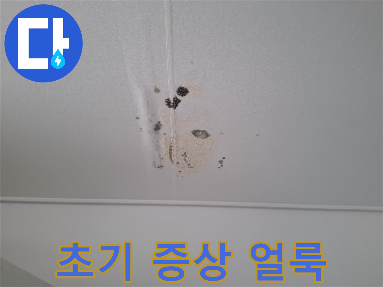 판교 삼평동 봇들마을2단지 아파트 - 누수 초기 증상인 천장 얼룩 - 주의 깊게 살펴보세요.