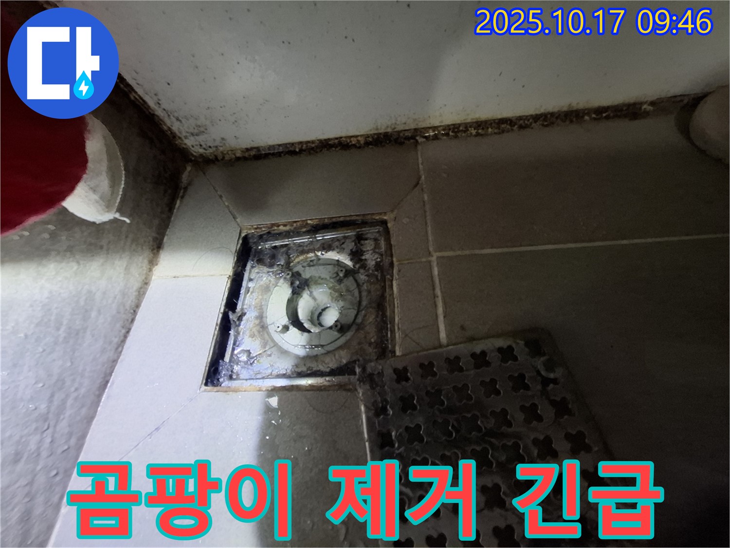 판교 삼평동 봇들마을2단지 아파트 - 욕실 곰팡이 제거 - 누수 긴급 해결 - 24시간 방문 대기 - 언제든지 연락 주세요.