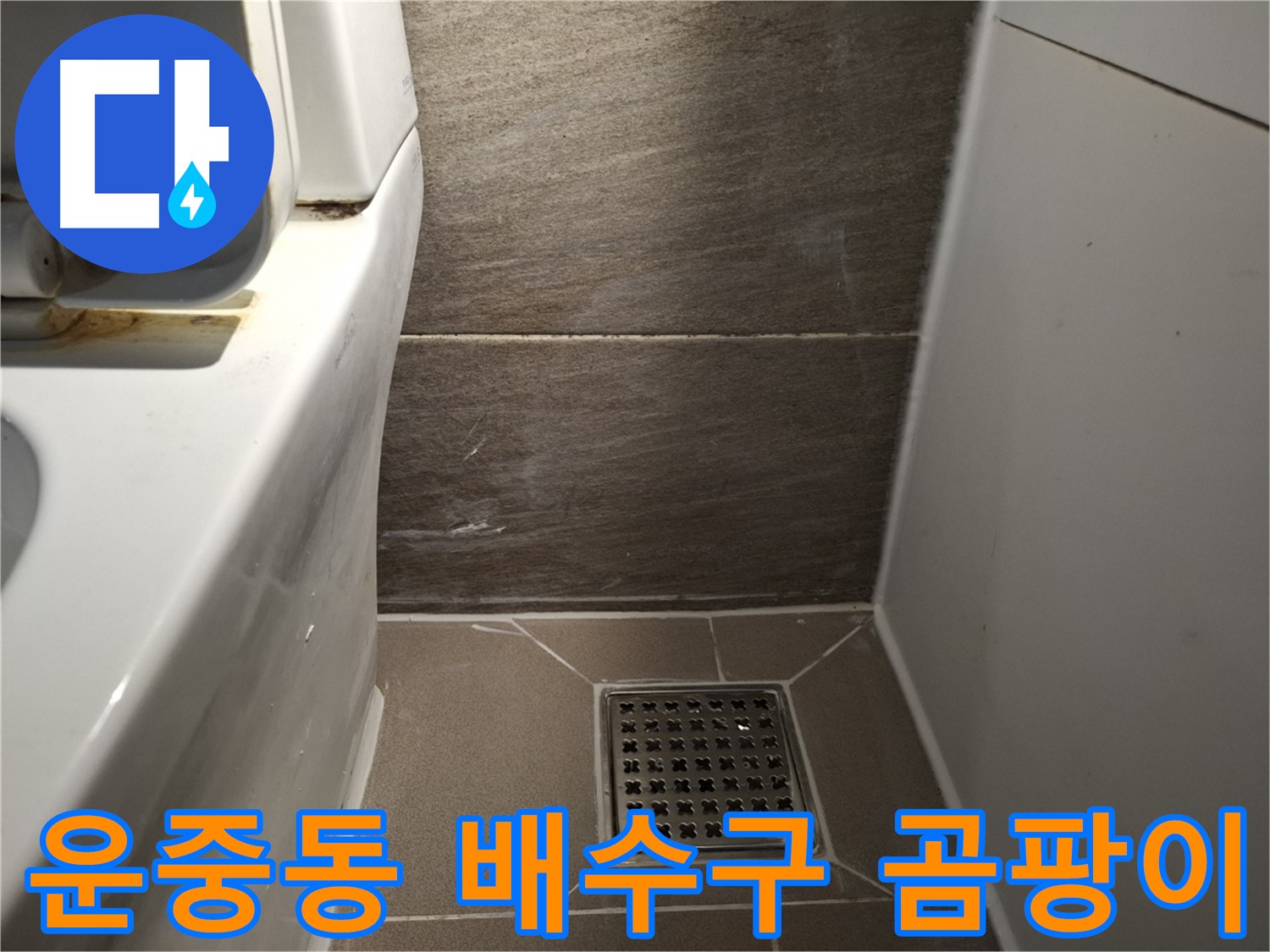 판교 운중동 화장실 배수구 곰팡이 - 냄새 확인