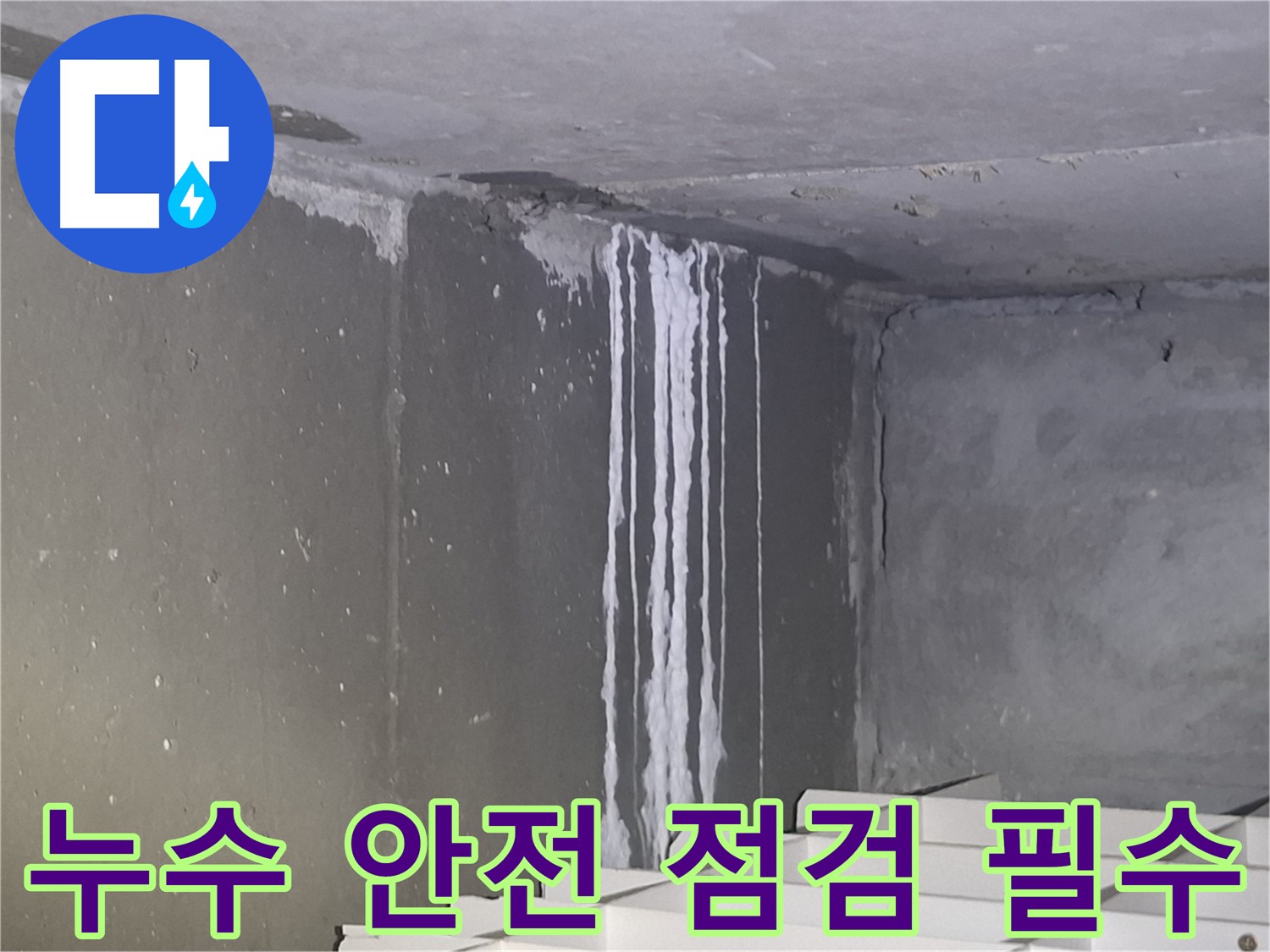 분당구 봇들마을 건물 계단 벽 누수 - 안전 점검 필요