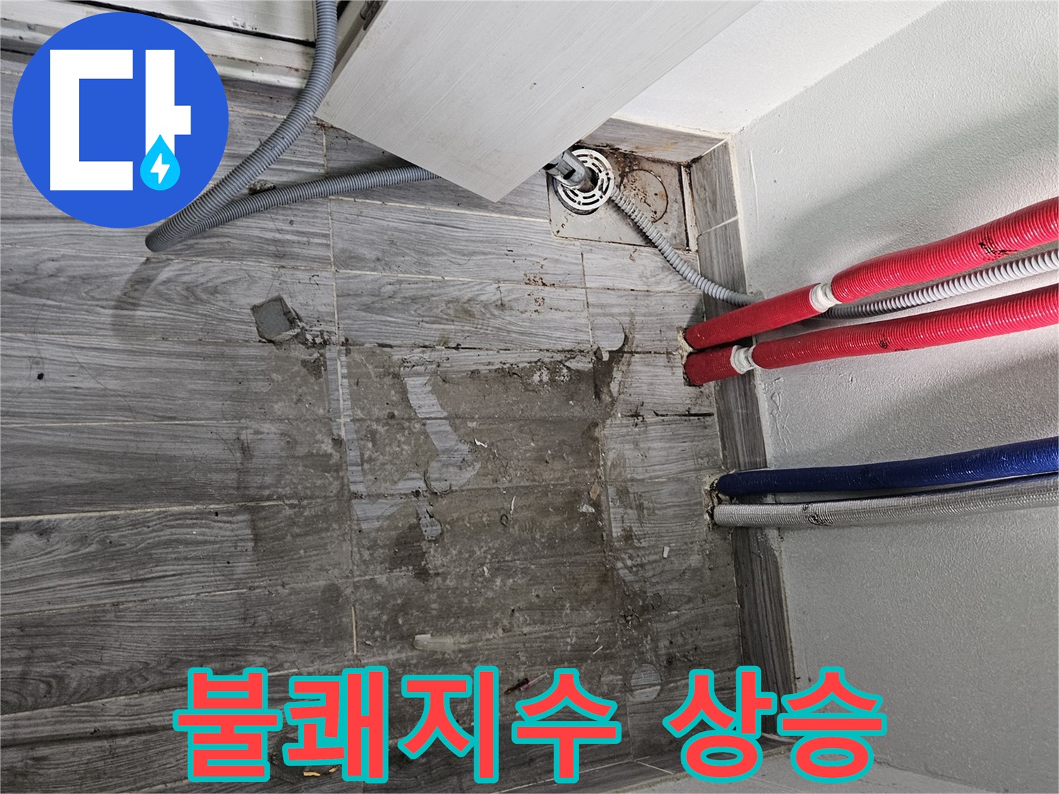 강동구 세탁실 누수 - 곰팡이 냄새, 불쾌지수 상승