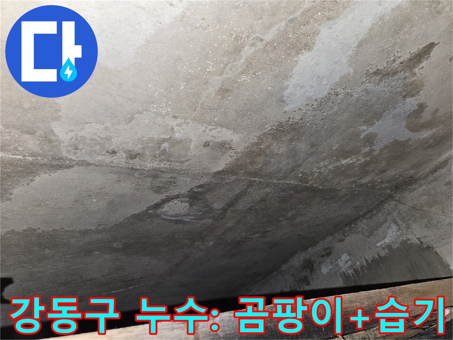 강동구 아파트 누수 - 콘크리트 곰팡이와 습기는 건강에 악영향