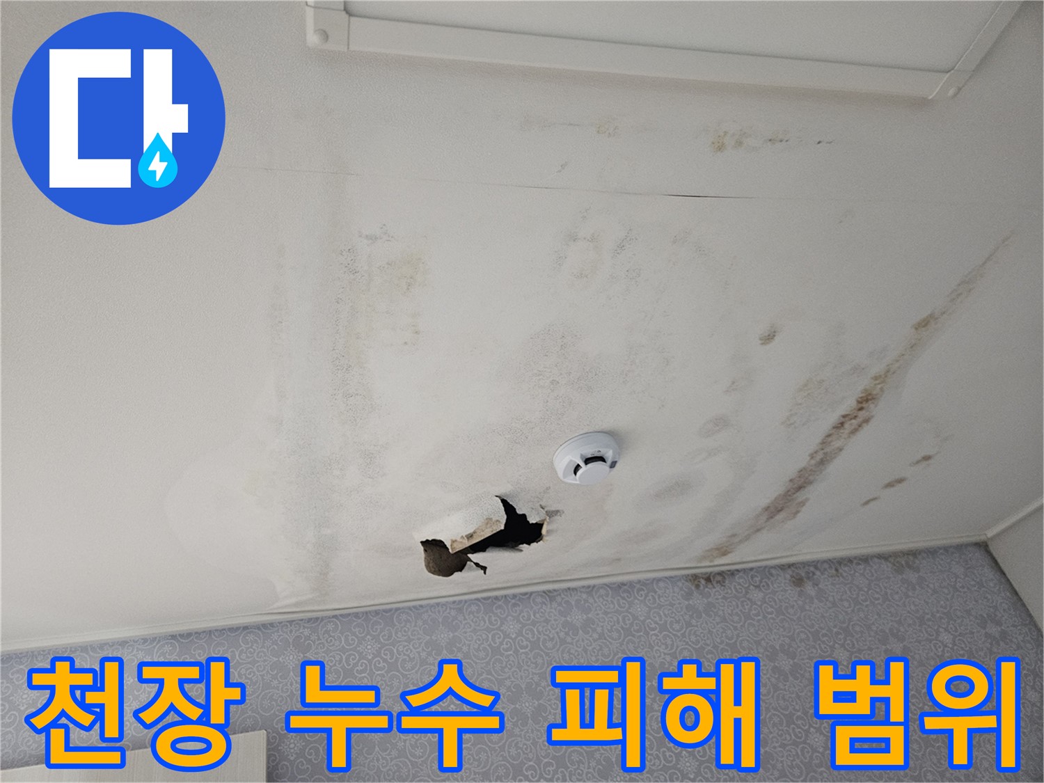 강동구 천중로 아파트 천장 누수 - 누수 피해 범위가 넓어 천장 전체가 젖어 있는 상태 - 빠른 조치가 필요합니다