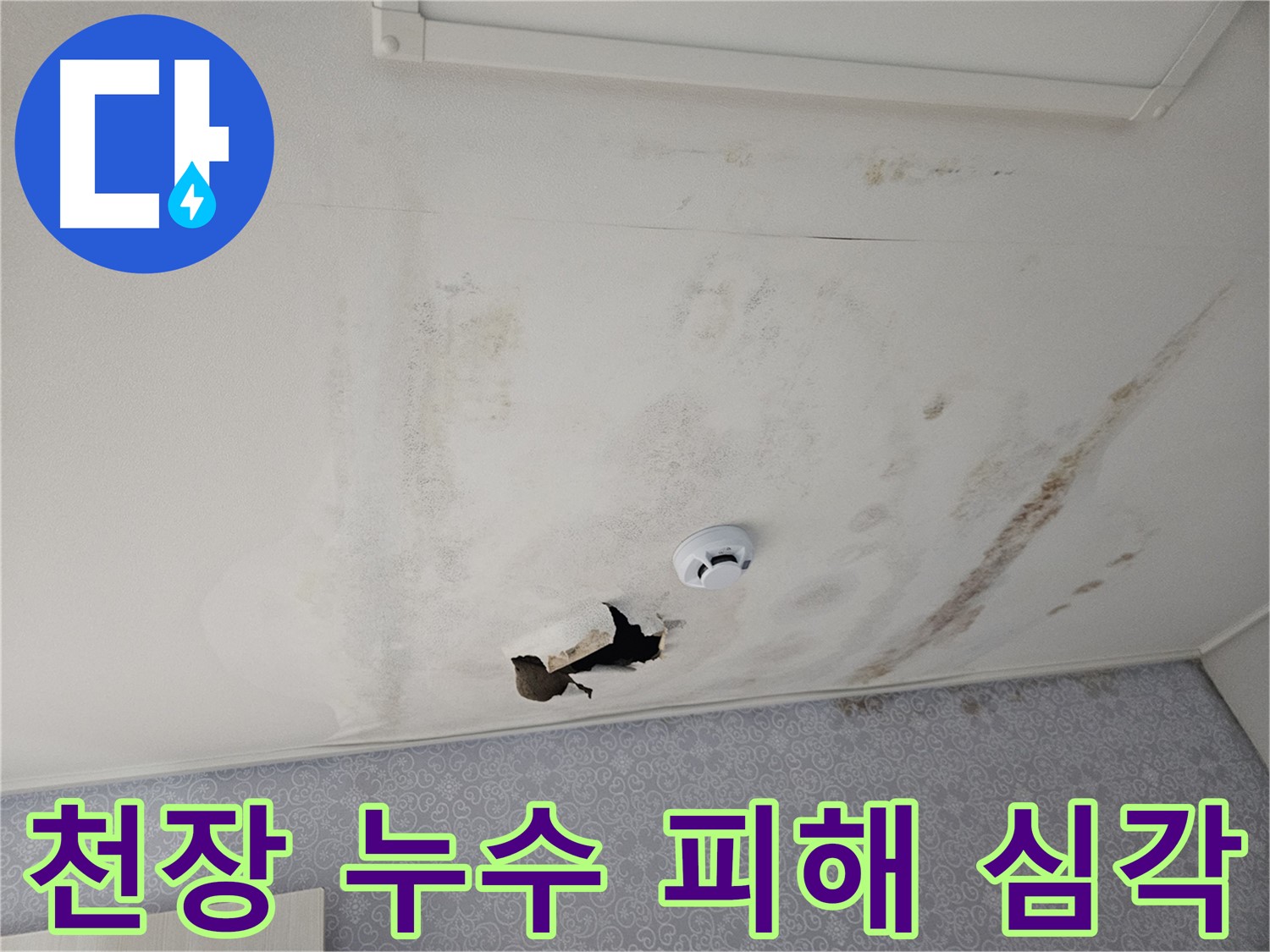 강동구 천중로 아파트 천장 누수 - 누수 피해가 심각하여 천장 손상 및 곰팡이 발생 가능성이 높은 상황