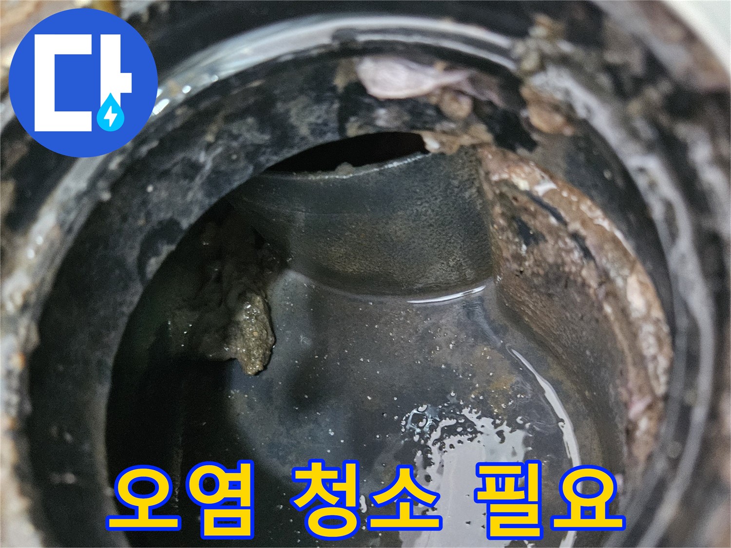 배수구 내부 오염 - 깨끗하게 청소하세요