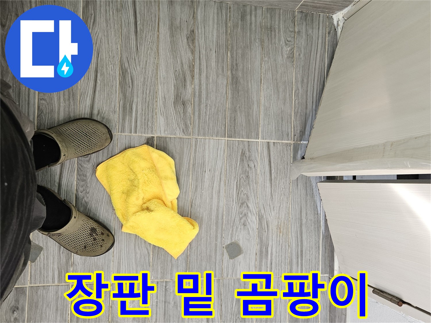 장판 밑에 핀 곰팡이 - 숨겨진 누수의 증거입니다.