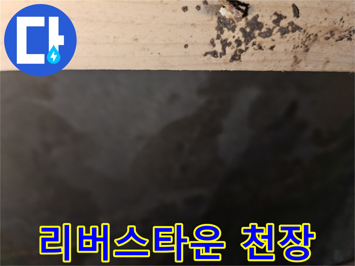 천호동 리버스타운 누수 - 천장 상태 점검 - 첨단 장비 사용