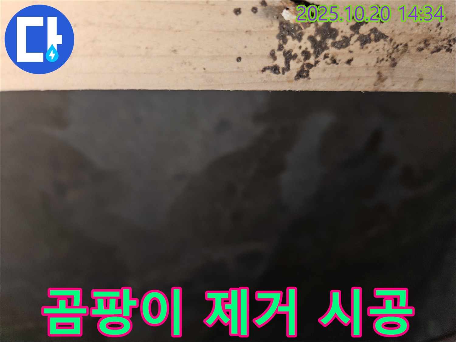 천호동 리버스타운 아파트 곰팡이 - 곰팡이 제거 시공 과정을 보여주는 이미지입니다.
