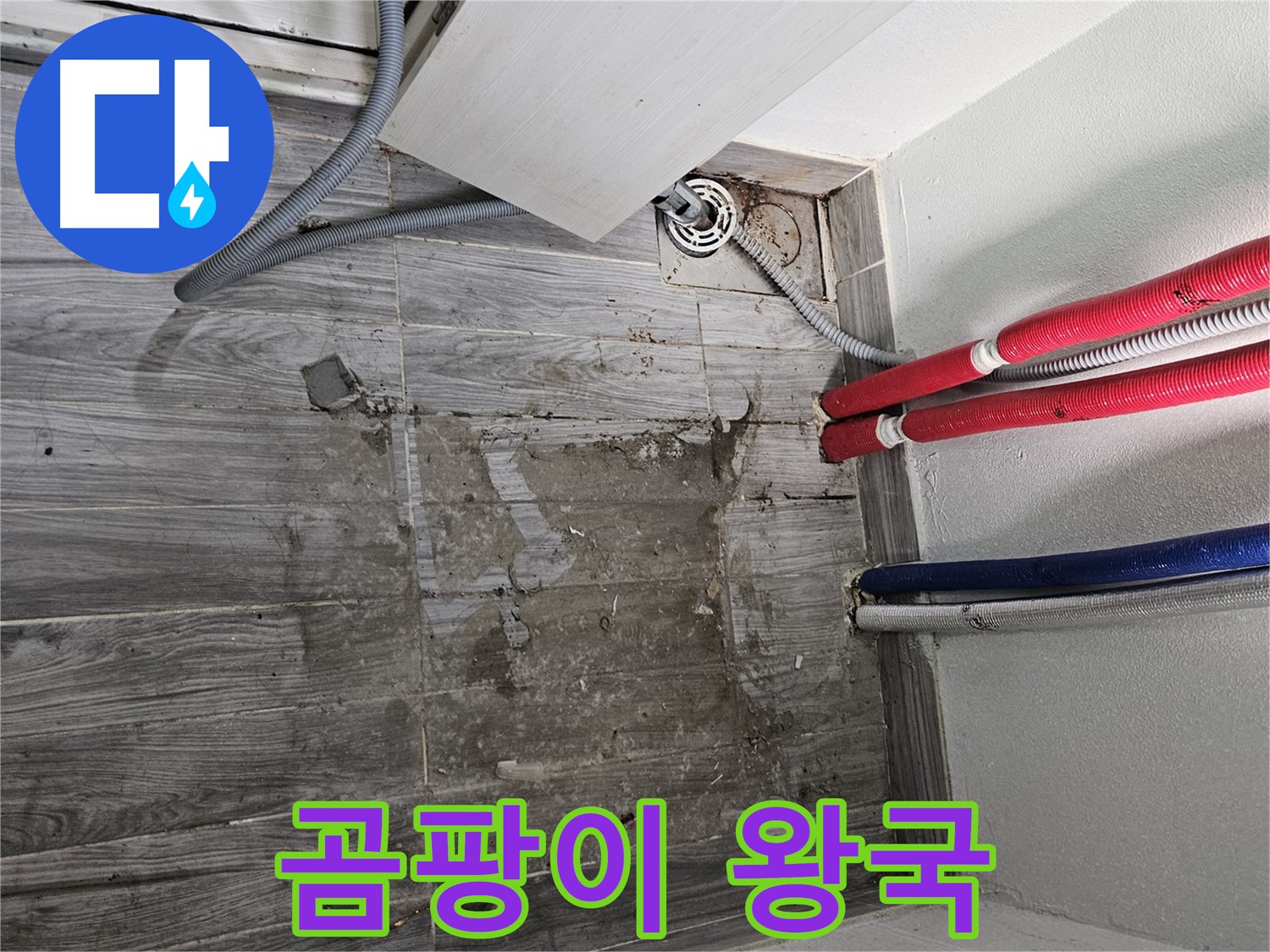 천호동 세탁실 누수 - 곰팡이 왕국 건설 중