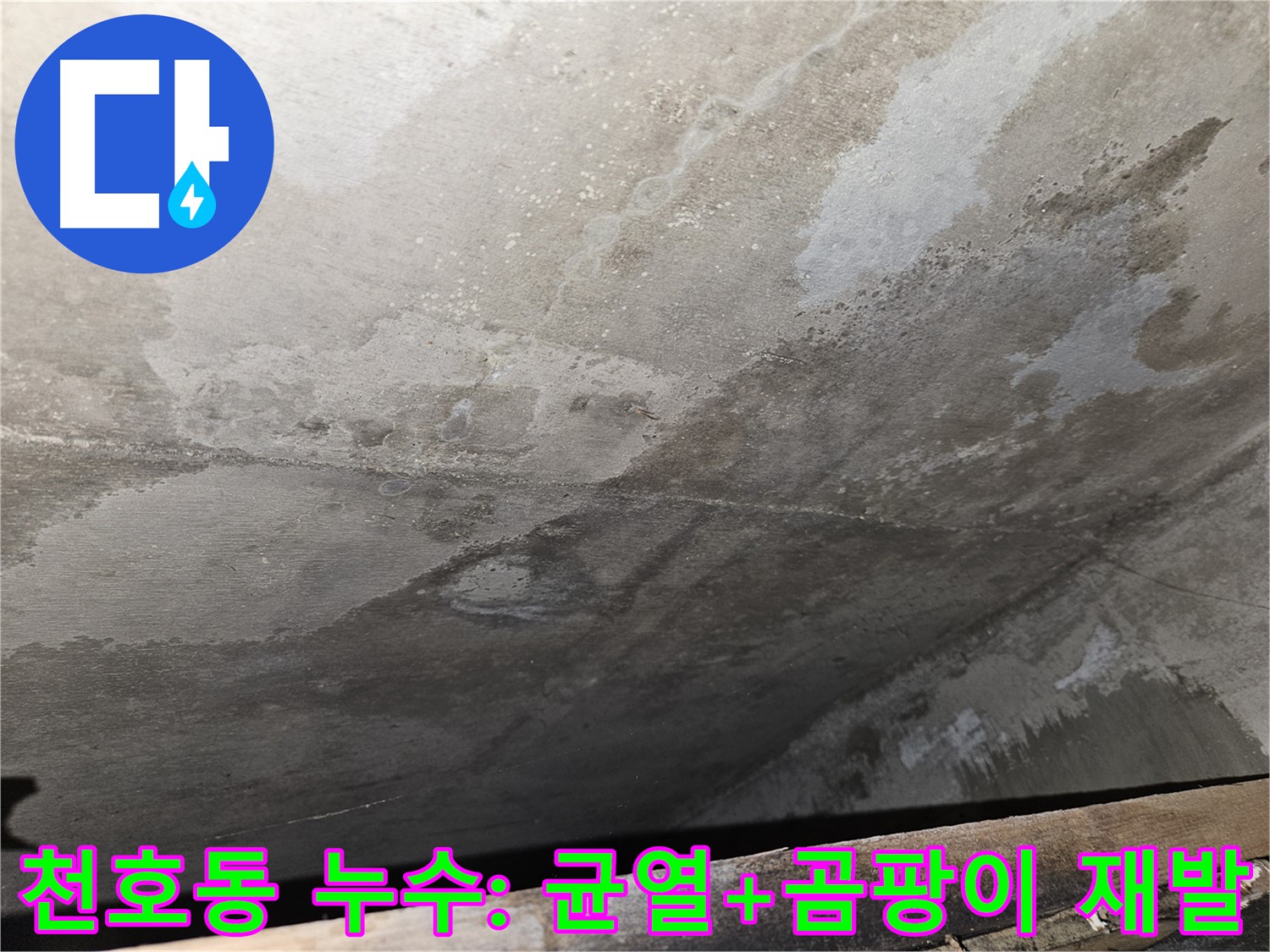 천호동 아파트 누수 - 균열 주변 곰팡이 재발은 부실 공사 의심