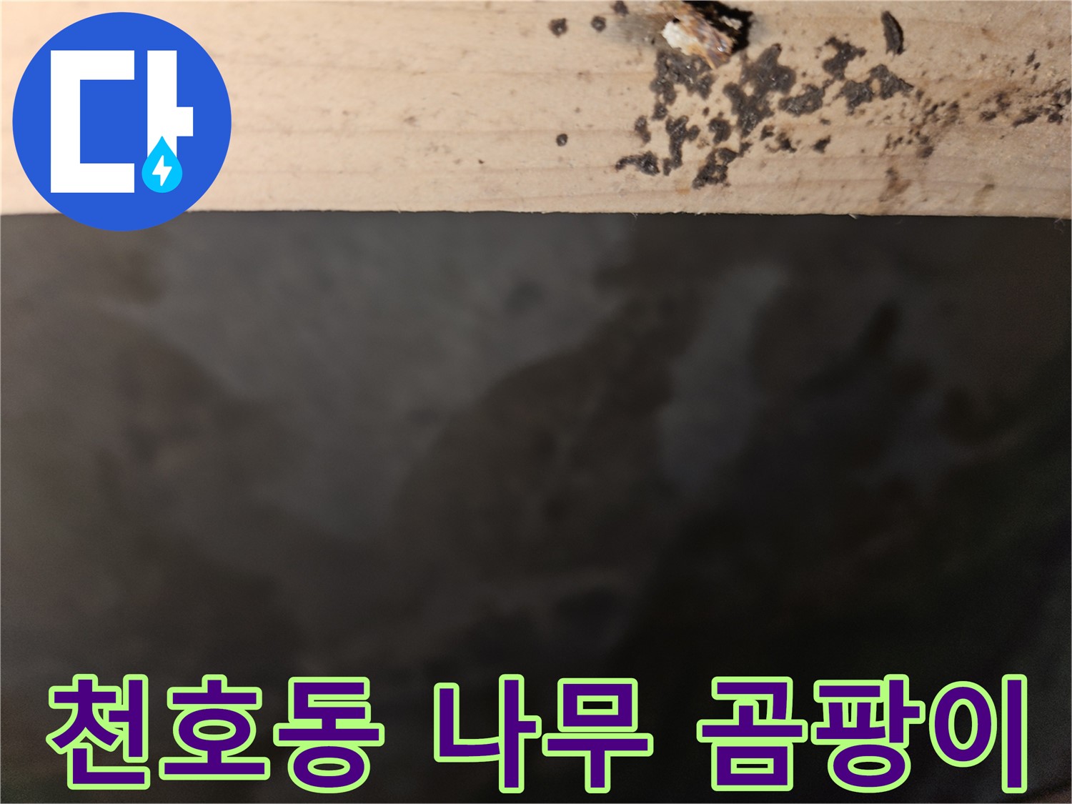 천호동 아파트 누수 - 나무 곰팡이 - 빠른 조치 필요