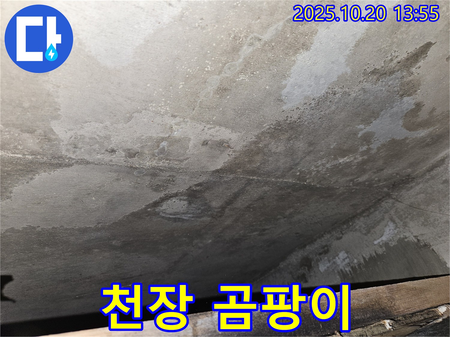 천호동 아파트 콘크리트 천장 누수 - 콘크리트 천장 표면에 곰팡이가 발생한 모습 이미지