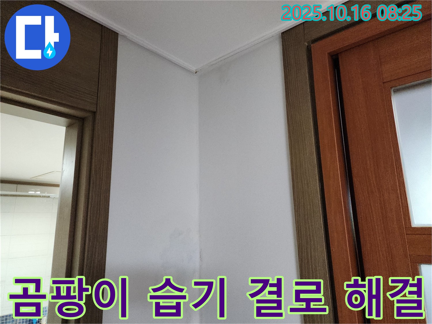 곰팡이 - 습기 - 결로 해결 - 쾌적한 공간 - 한번에 해결