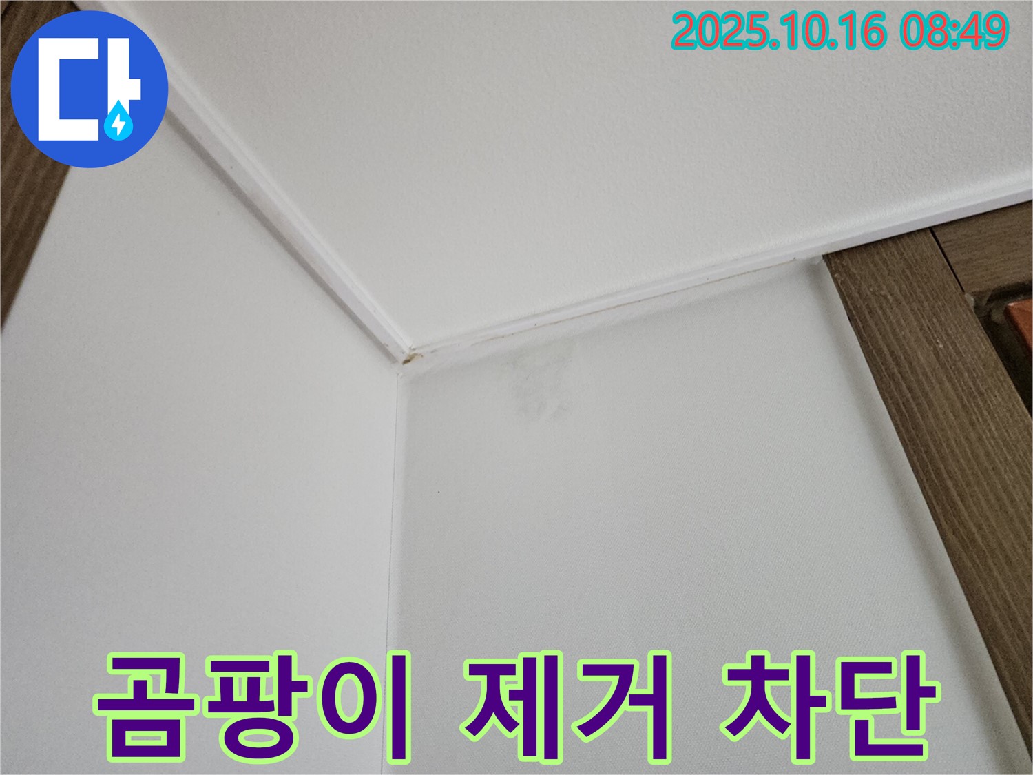 남면 경신리 벽 곰팡이 - 곰팡이 제거와 완벽한 재발 방지 시공으로 건강한 공간을 만들어 드립니다.