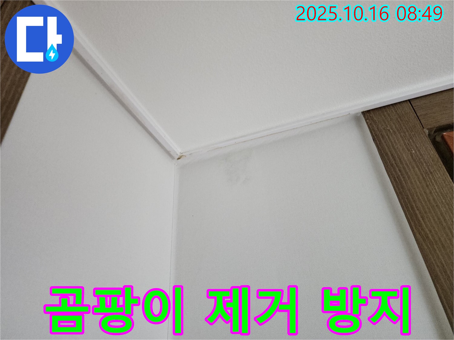 남면 경신리 벽면 누수 - 곰팡이 제거와 방지 시공으로 건강한 공간을 만들어 드립니다.