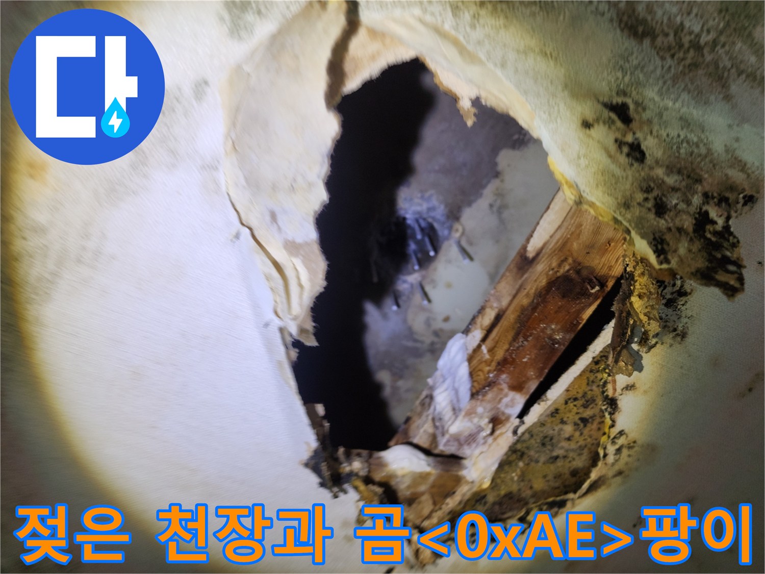 누수가 진행된 - 주방 천장 내부의 오염된 마감재 상태