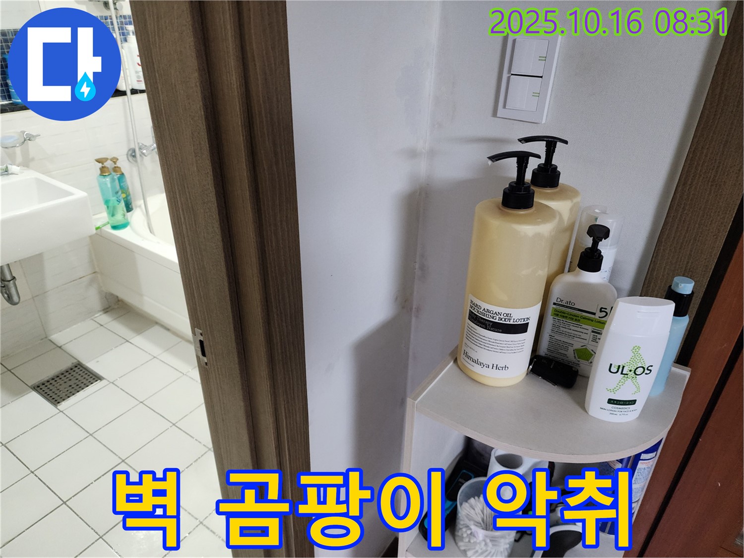 양주 남면 경신리 욕실 누수 - 곰팡이와 악취, 심각한 누수 의심