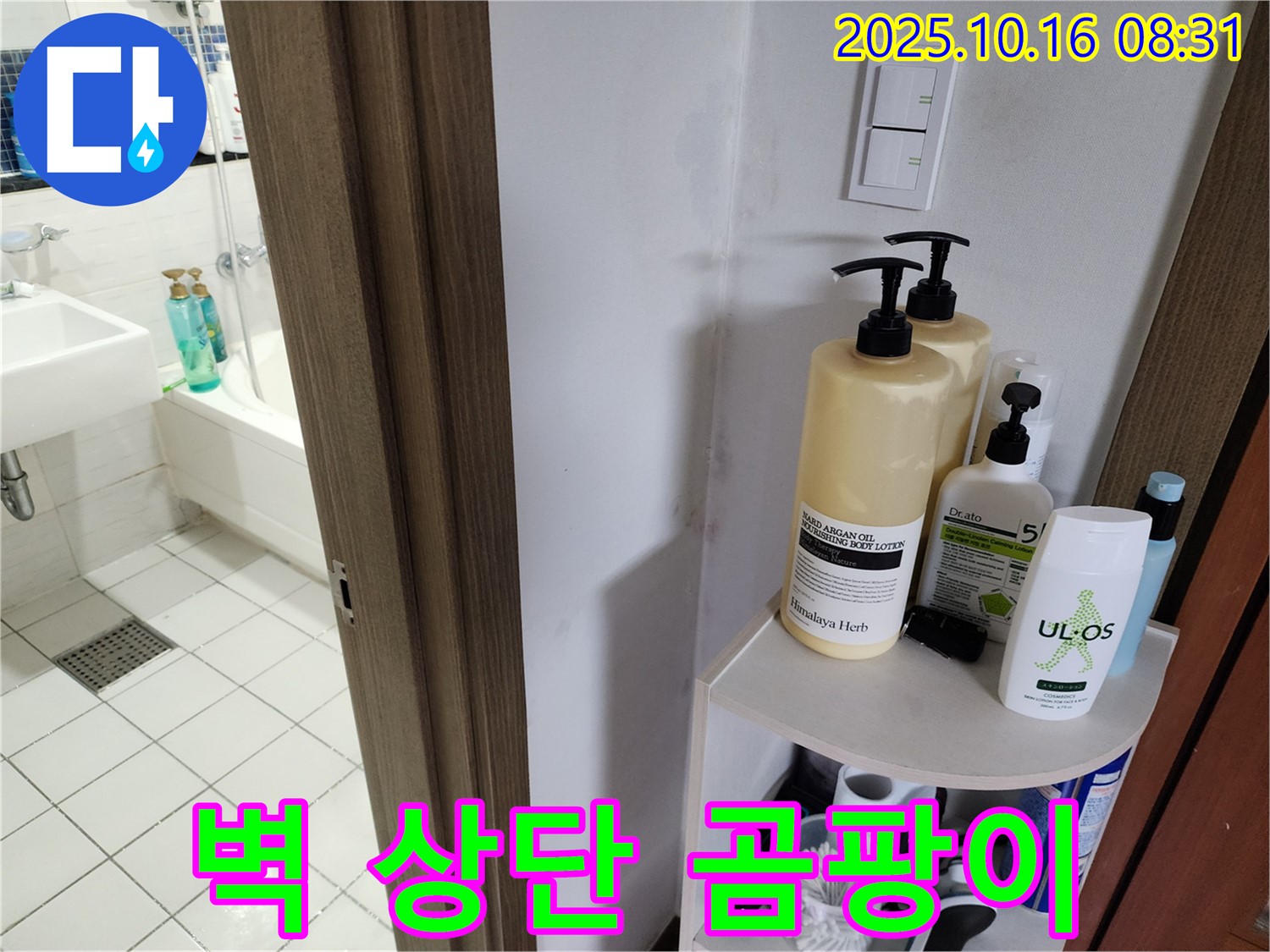양주 남면 경신리 욕실 누수 - 벽 상단 곰팡이, 습기 문제 점검