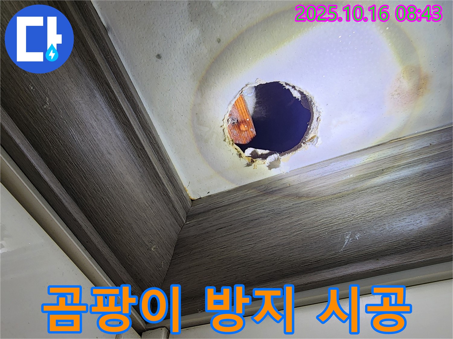 양주 남면 누수 - 천장 구멍 속 누수 - 곰팡이 발생 방지를 위한 꼼꼼 시공