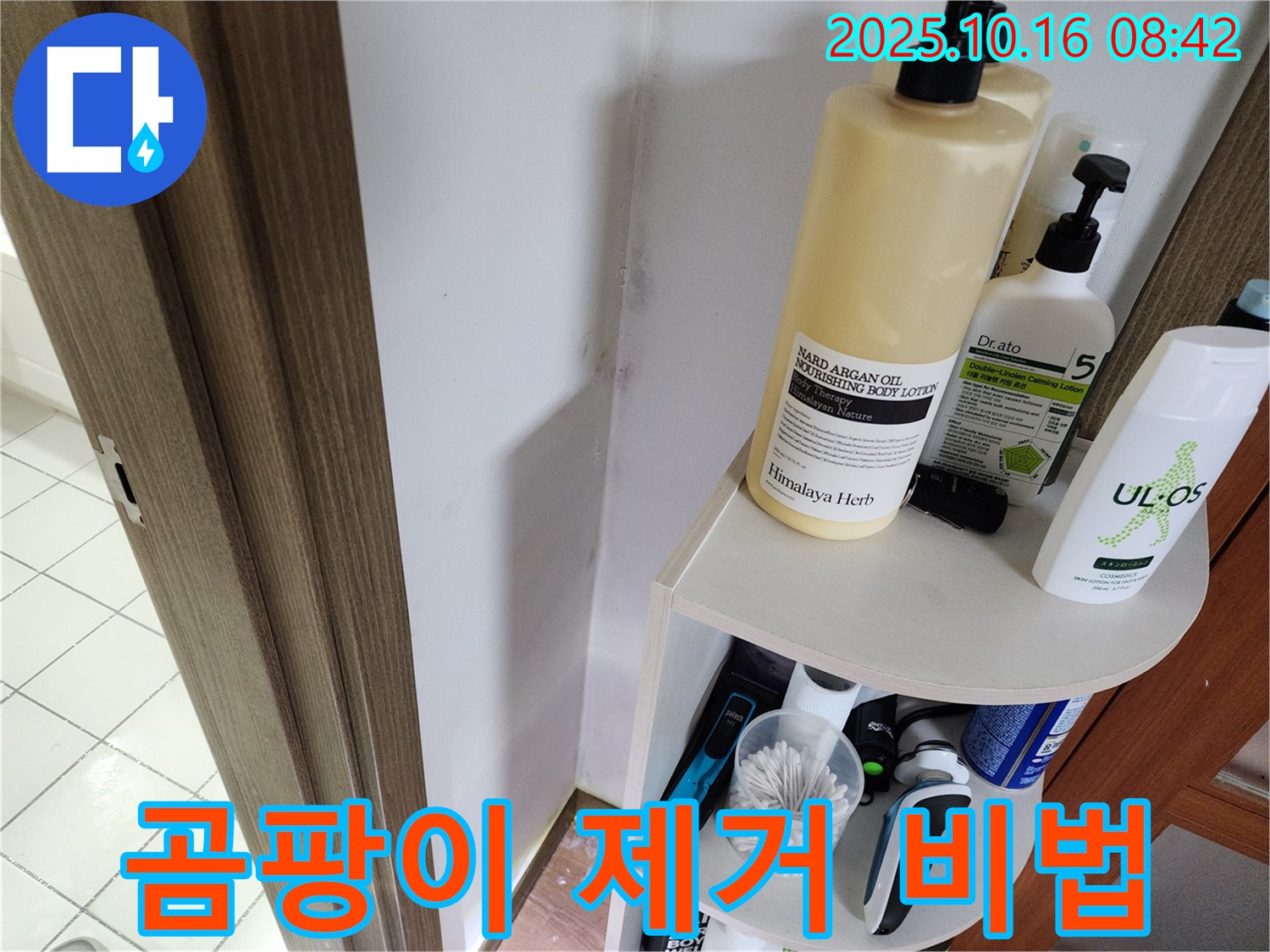 양주시 남면 경신리 욕실 곰팡이 - 누수 문제 해결로 완벽하게 없애는 비법 대공개!