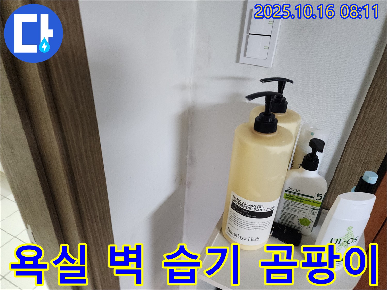 양주시 남면 경신리 - 욕실 벽 곰팡이 - 습기와의 전쟁을 선포하고 누수 해결