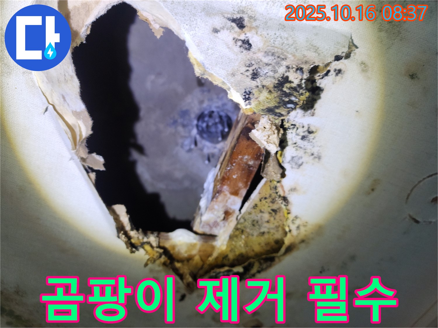 양주시 남면 경신리 주택 천장 - 곰팡이 천장, 남면 누수 전문가의 곰팡이 제거는 필수입니다!