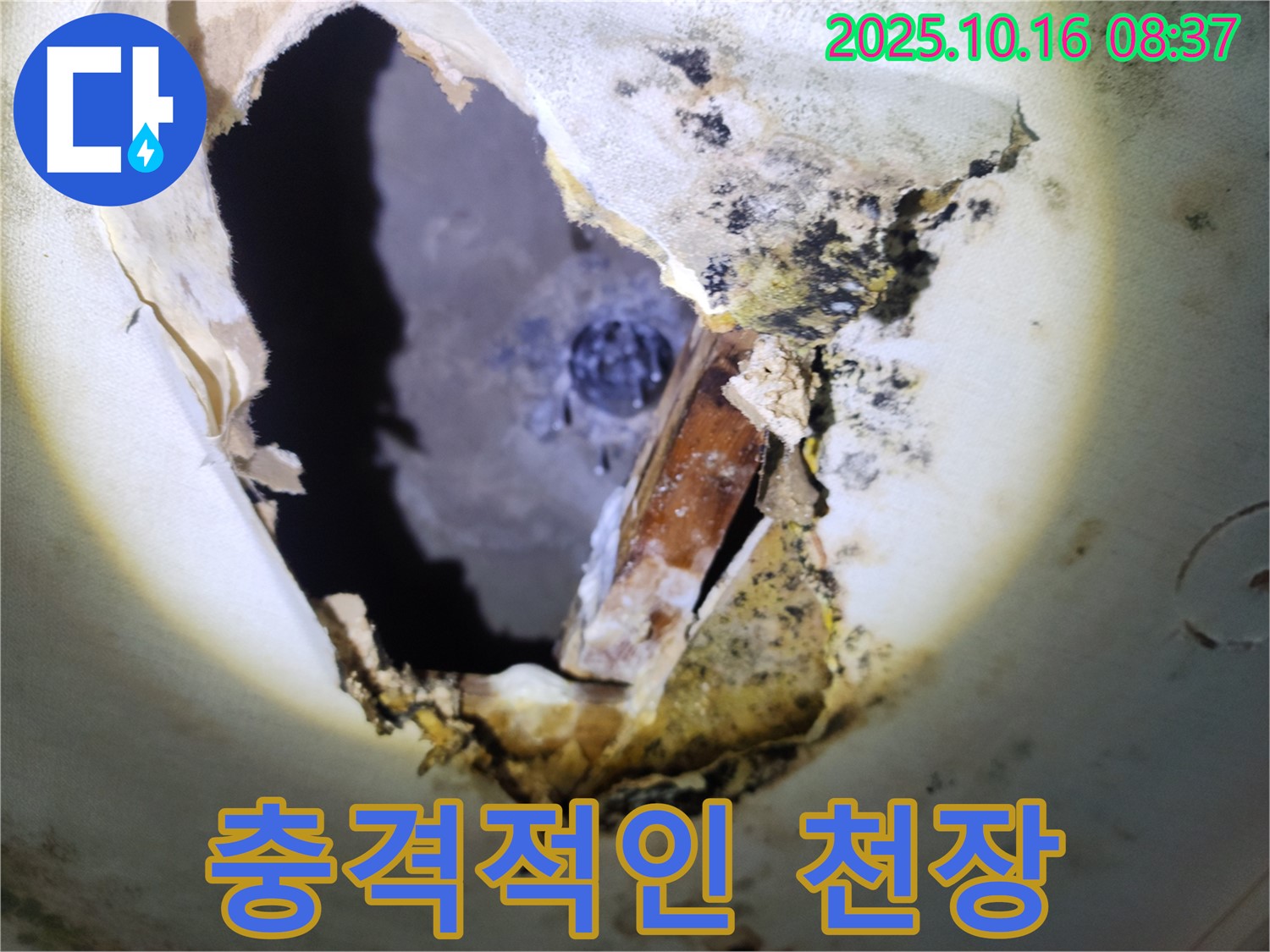 양주시 남면 경신리 주택 천장 - 곰팡이 천장 속 충격적인 모습 - 누수 문제의 심각성을 보여줍니다.