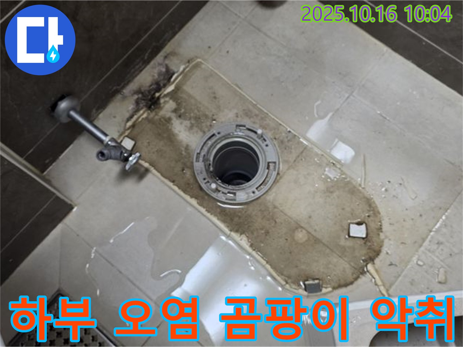 양주 옥정동 율정마을 13단지 아파트 변기 누수 - 변기 하부 오염, 곰팡이, 악취 누수 - 깨끗하게 청소하고 곰팡이와 악취까지 완벽하게 제거
