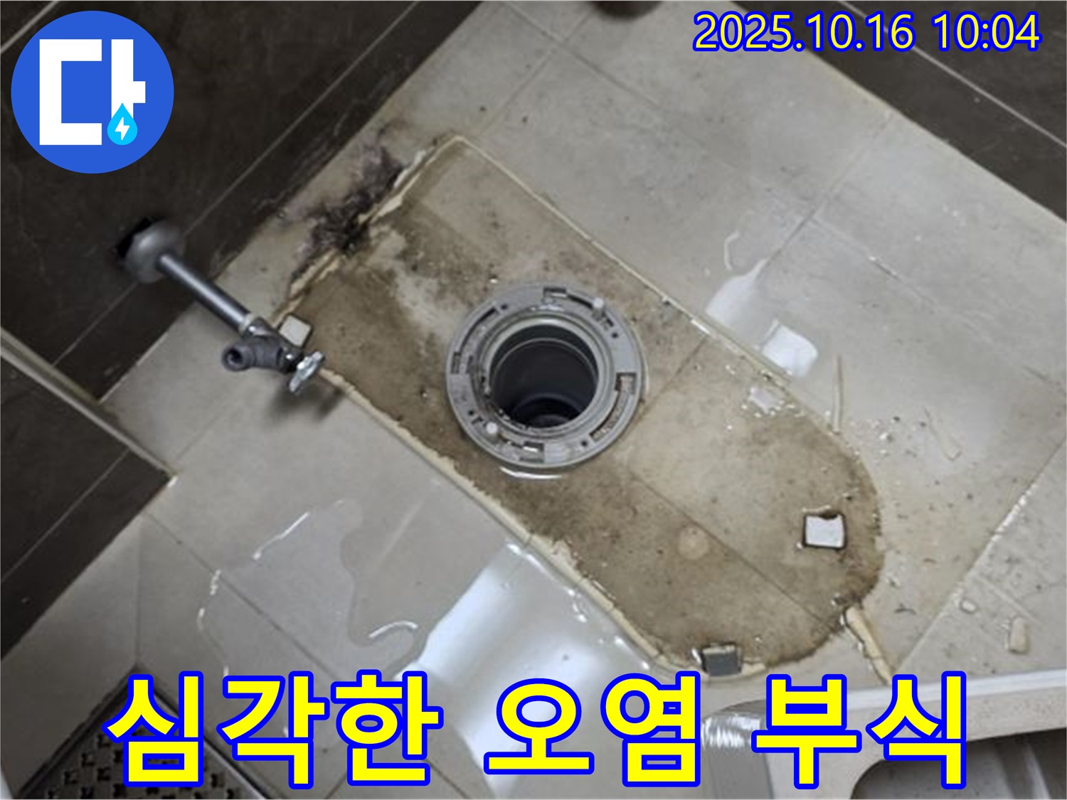 옥정동 율정마을 아파트 변기 누수 - 심각한 오염과 부식으로 인한 누수 원인 진단 - 문제 해결을 위한 정밀 점검