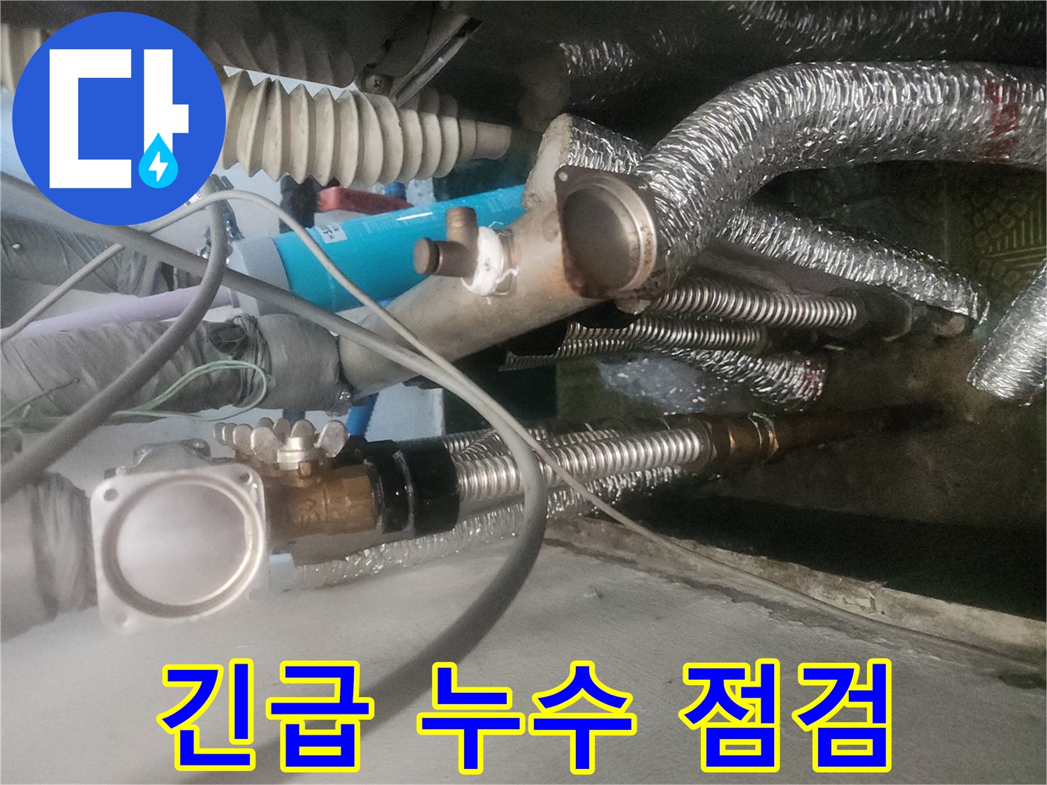 송파구 거여동 이화빌라 누수 현장 - 긴급 출동하여 누수 점검 중
