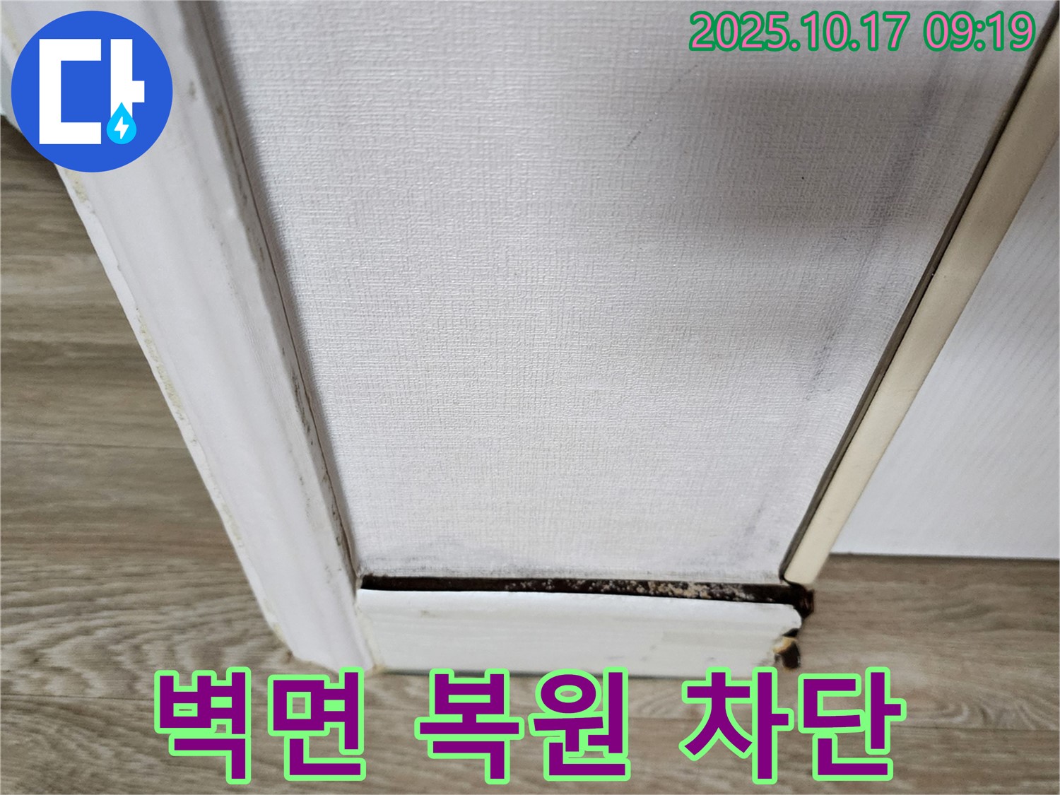 곰팡이 핀 벽면 완벽 복원 및 습기 차단 - 곰팡이 걱정 없이 쾌적한 공간을 만들어 드립니다.