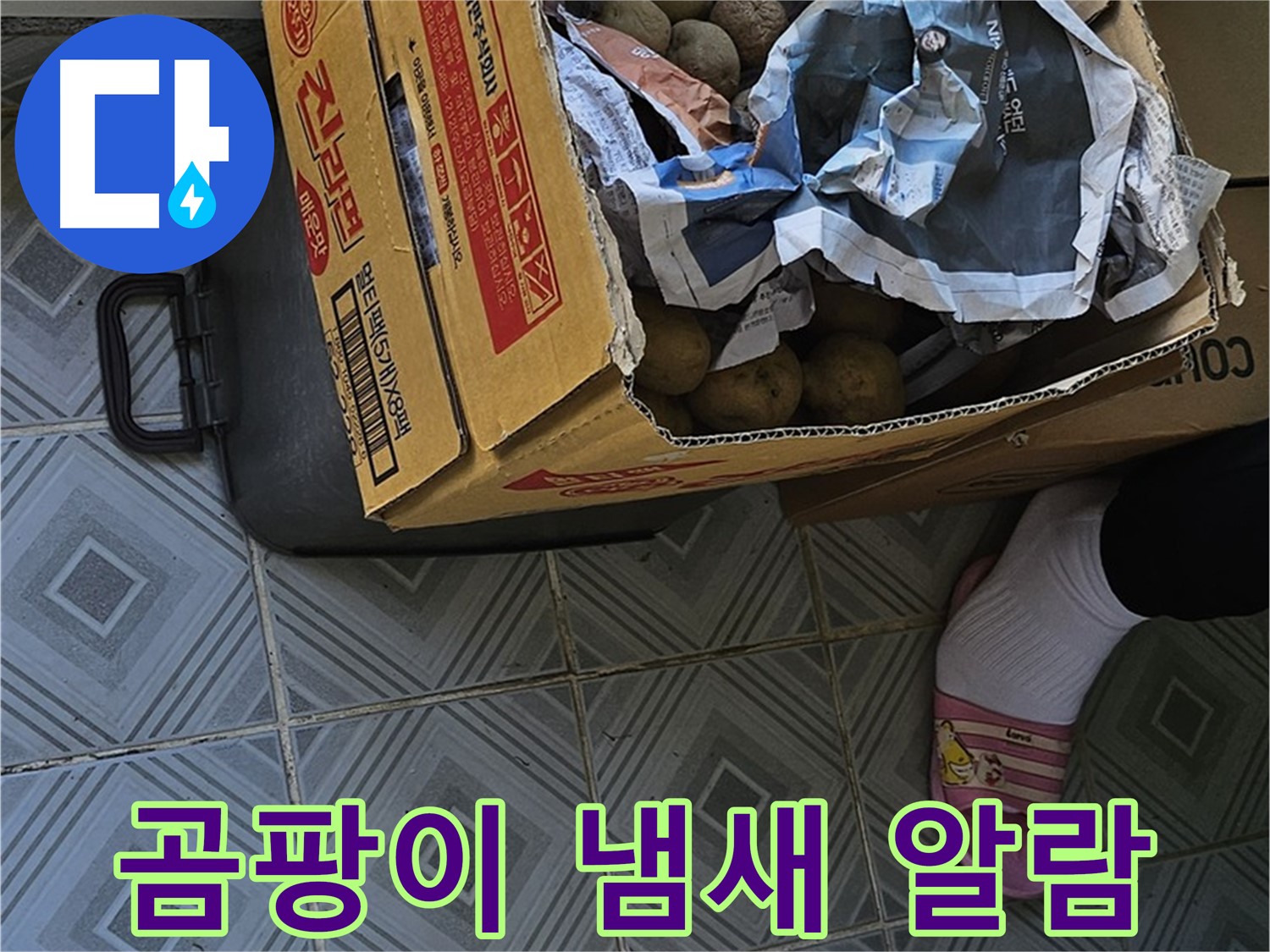 신월1동 엘리시안 누수 현장 - 감자 박스 주변에서 곰팡이 냄새가 난다면 누수 알람이 울린 것입니다 - 즉시 점검하세요.