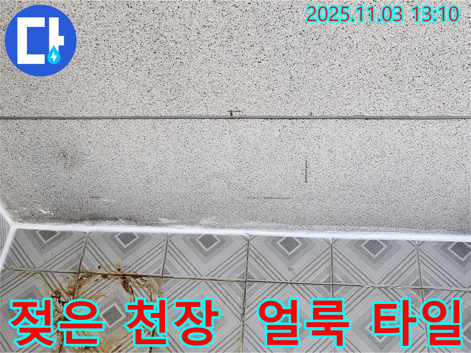 신월동 누수 - 젖은 천장과 얼룩진 타일, 누수 긴급 점검 및 원인 분석 진행 중 - 양천구 누수 전문.