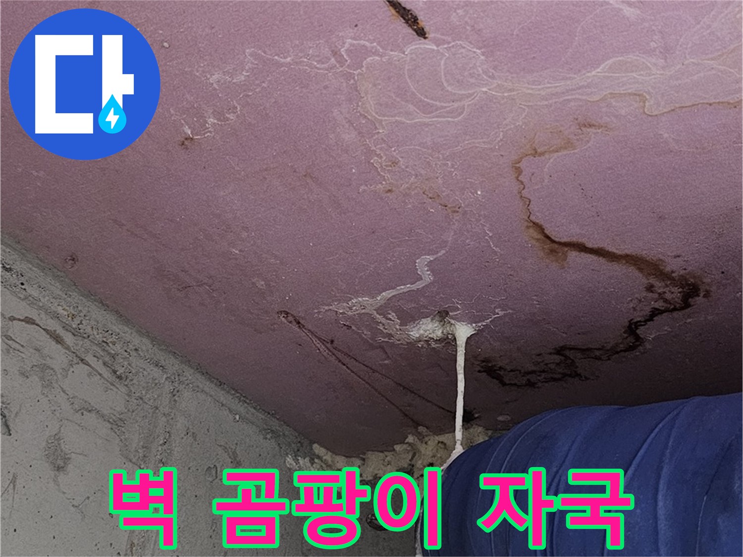 신월동 양천구 누수 - 벽 곰팡이와 석회 자국