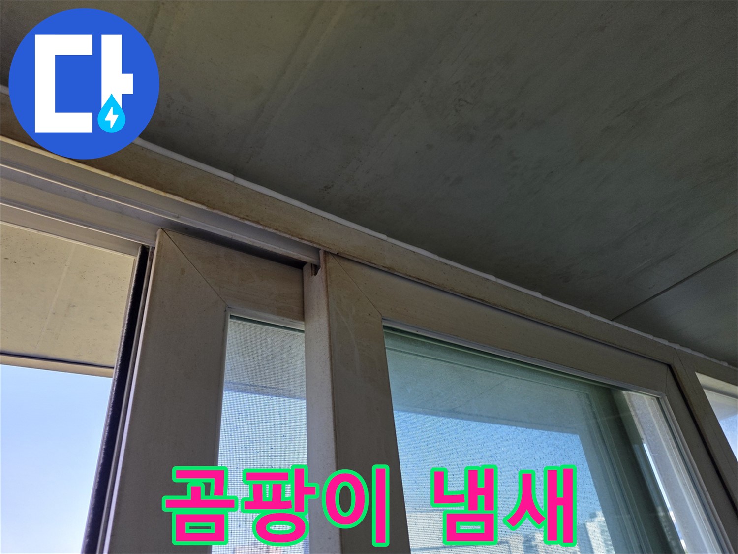 신월동 양천구 창틀 누수 - 곰팡이 냄새 발생 - 악취 발생