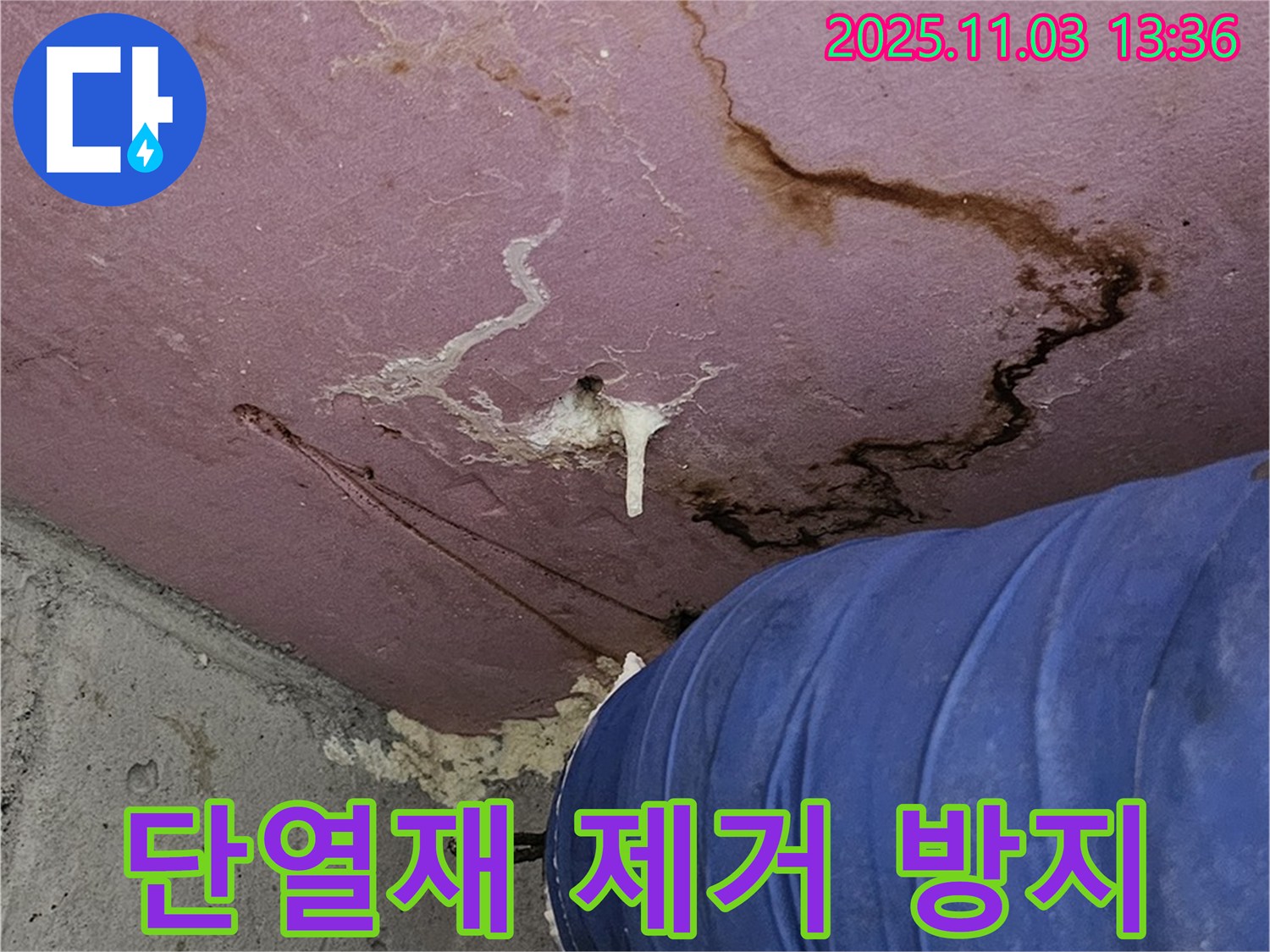 신월동 엘리시안 A동 누수 현장 - 젖은 단열재 제거 및 곰팡이 방지 시공, 쾌적한 환경 복원
