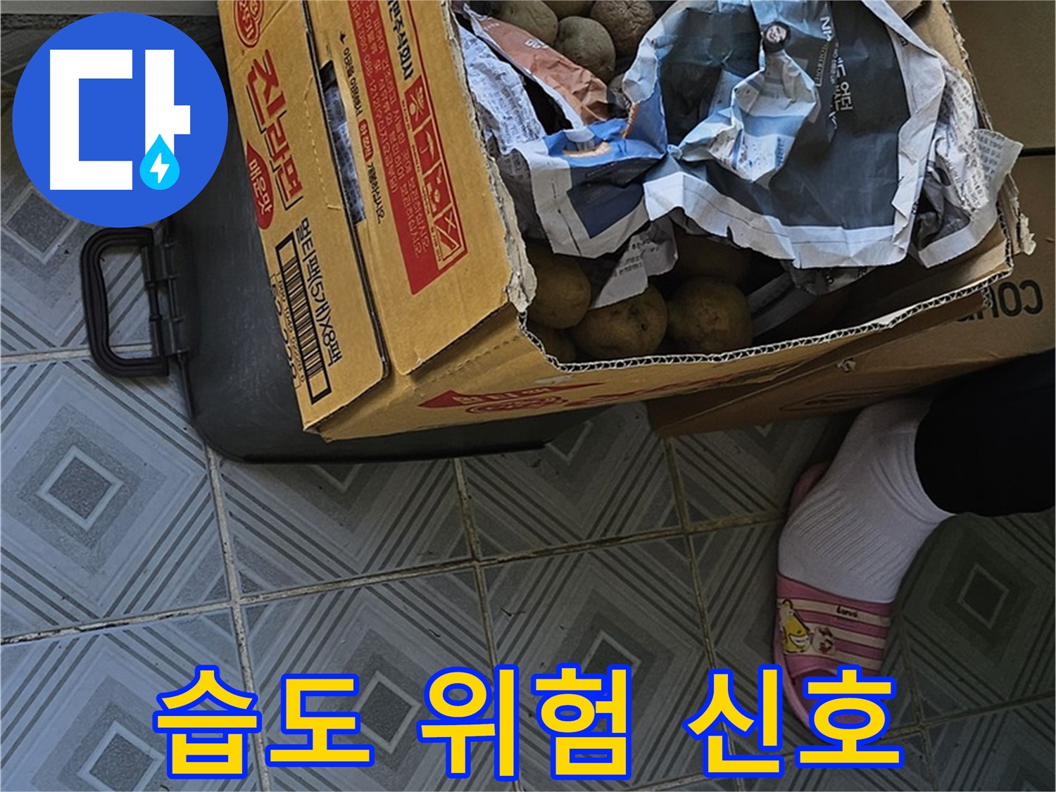 신월동 엘리시안 누수 현장 - 감자 박스 주변 습도가 높다면 누수 위험 신호입니다 - 즉시 전문가에게 문의하세요.
