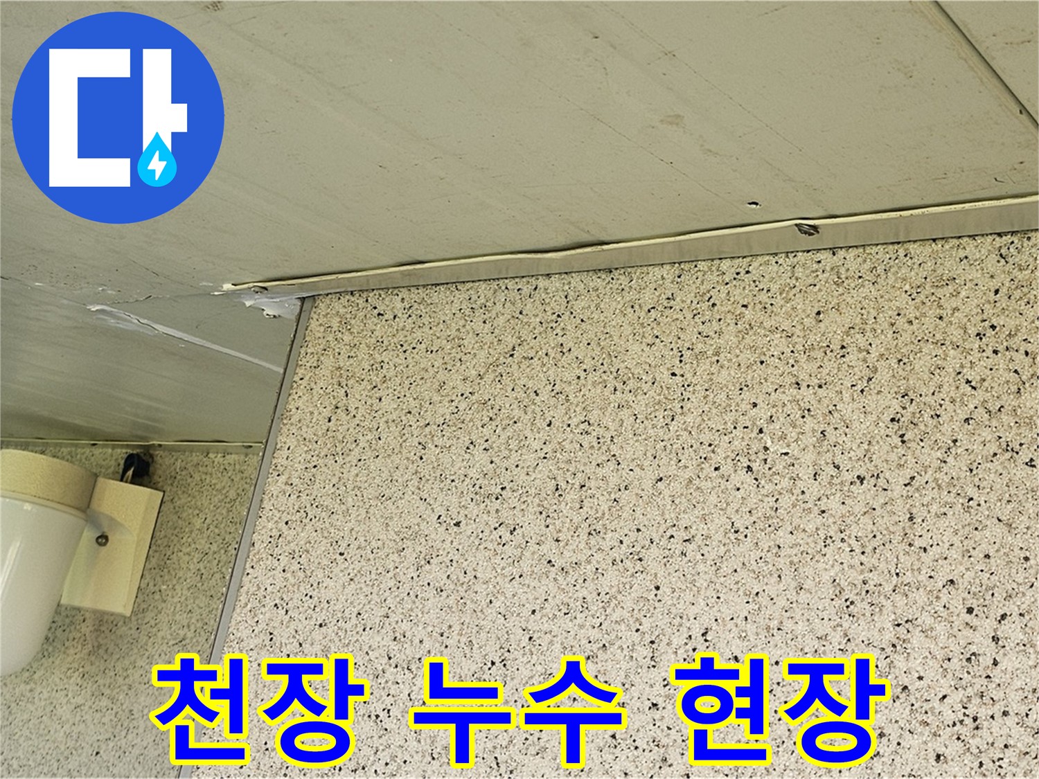 신월동 엘리시안 아파트 천장 누수 현장 - 양천구 누수탐지 전문 업체의 해결 과정
