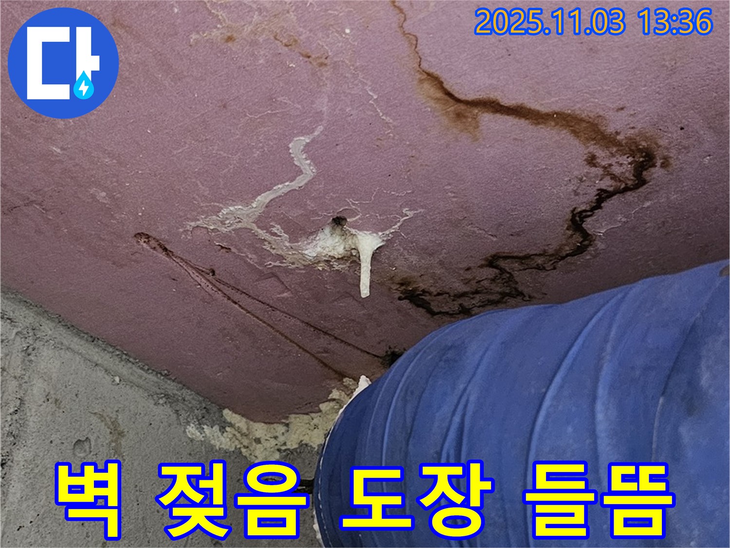 신월동에서 발생한 누수로 인한 벽 젖음과 도장 들뜸 현상 - 긴급 점검 및 초기 대응